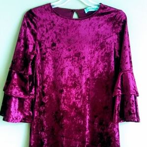 Burgundy Velour Tunic